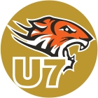 Mini Gold Tigers