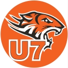 Mini Orange Tigers