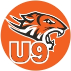 Mini Orange Tigers