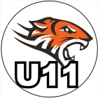 Little White Tigers