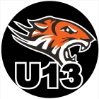 Jr Black Tigers